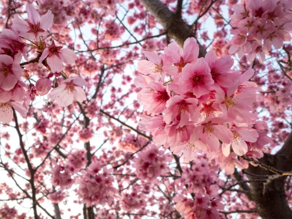 O Equinócio de Primavera