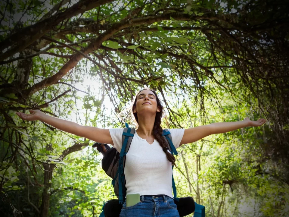 Atenção Plena: A Chave para o Despertar